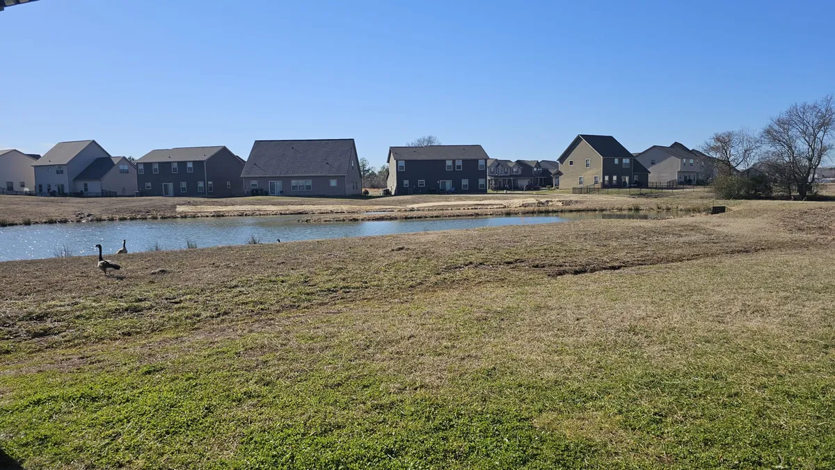 A tranquil pond is featured in this exterior scene, surrounded by geese and homes, creating a peaceful natural environment. The setting encourages birdwatching, relaxed walks, and picnics—activities that families can enjoy together close to home.