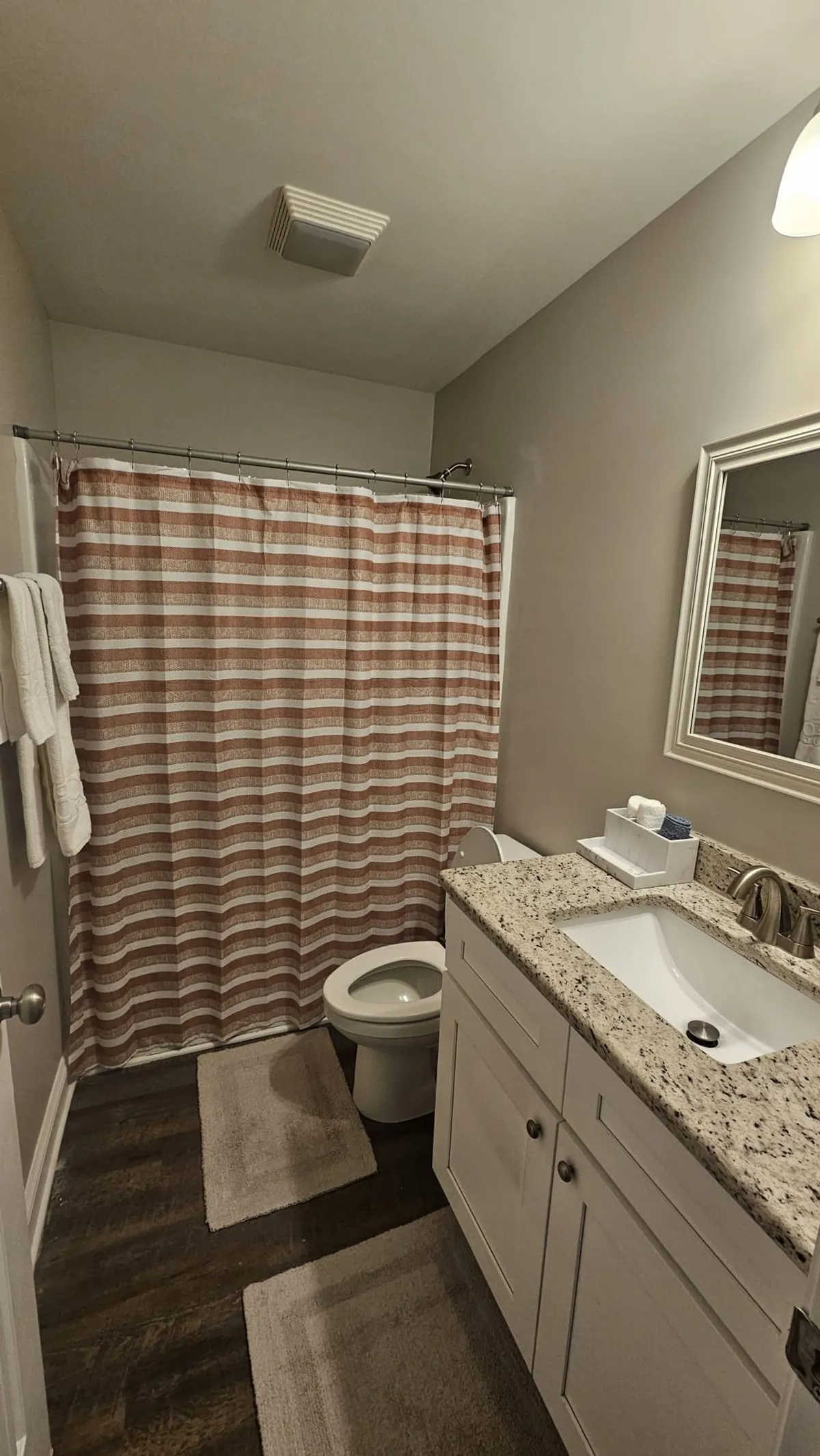 A tranquil bathroom space is depicted, complete with a shower curtain, a tidy vanity with a sink, and a toilet—all arranged to evoke a sense of relaxation and privacy.